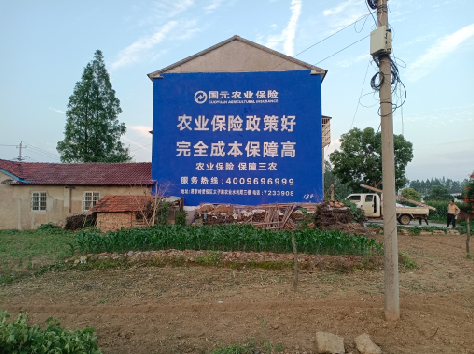 南京墙体广告为何受追捧？